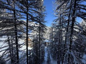 Résidence Loutagno - appartement pied des pistes MAE-4013