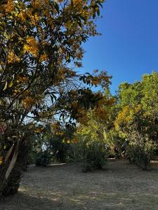Encanto do Mar Praia do Rosa