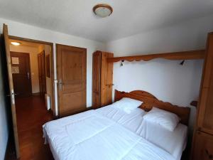 Résidence Ancolie - appartement plein sud, parking couvert - 50m des pistes MAE-9783