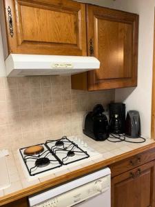 Chalet Saint Rozaire - 3 pièces 4 personnes exposé Sud-Ouest 3 MAE-2483