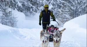 Résidence Le Seignon - Résidence Seignon, centre station MAE-7273