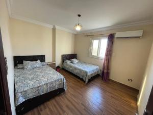 Two Icons One Balcony Pyramids and Grand Museum View