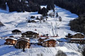 Résidence Le Schuss 2 - Appartement au pied des pistes des Evettes MAE-3913
