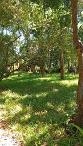 ParadiseLost Camping Ground