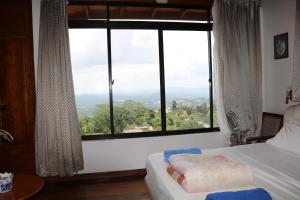 Haven Upon Hills