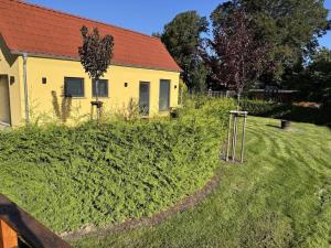 Holiday home in Penzlin with swimming pool