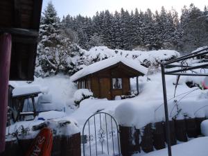 Haldenhäusle Black Forest