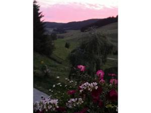 Haldenhäusle Black Forest