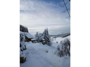 Haldenhäusle Black Forest