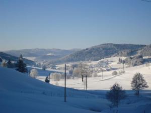 Haldenhäusle Black Forest