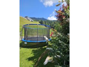 Oberschernthann App 1