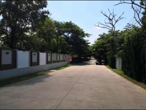 Warm Family of Three