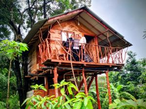 Farming Tree House
