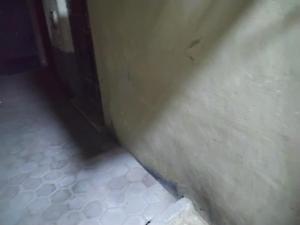 Master kings of the pyramids