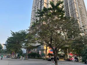 Tuyên Quang 301TK27