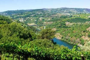 Cherry Douro Hill