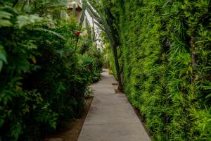 The Green Book Loft - Los Angeles California