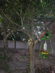 Studio Art & Mar Tucuns