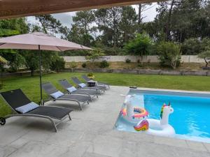 Superbe villa avec piscine chauffée et jardin à 10 min du centre, pour 12 personnes - FR-1-239-1150