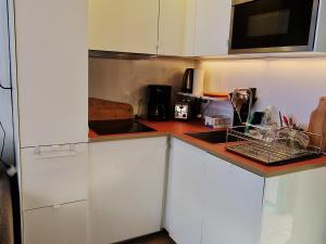 Chalet confortable 4 pers, près des pistes, La Plagne - FR-1-755-48