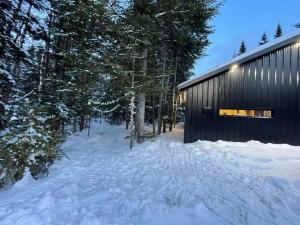 Sentier des chalets boisés