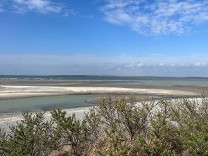 Mon cocooning au pied de la plage T3 couchages