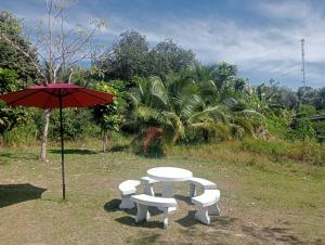 Little Shark bungalow