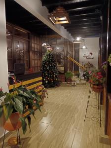 Hotel Colinas Del Darien