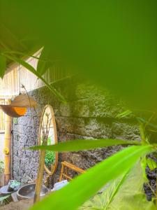 Dumi Bamboo Ecolodge by Wahem Hospitality