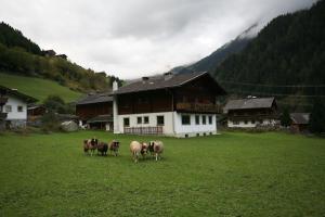 Ferienhaus Ruggenthaler