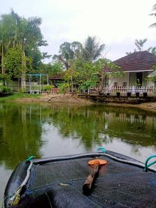 Nettle Trees Farm Stay