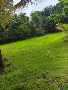Nisarg-Nivas - Private Farmhouse with Pool