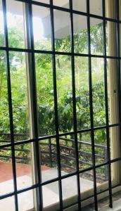 COFFEE ESTATE STAY COORg