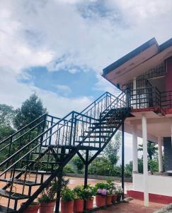 COFFEE ESTATE STAY COORg