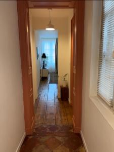 Joli appartement très calme en hypercentre, à côté du tram