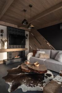 Luxury Houses Łapsze