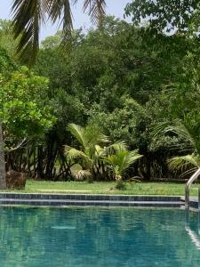 Aaryana Lagoon