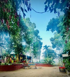Happy Feet Wayanad