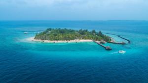 Taj Coral Reef Resort & Spa,Maldives - PremiumInclusive with Free Transfers