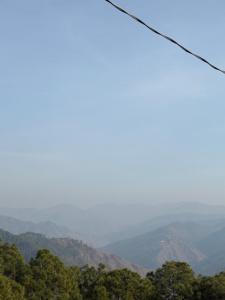 Ramashrya Homestay & cafe