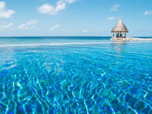 Taj Coral Reef Resort & Spa,Maldives - PremiumInclusive with Free Transfers