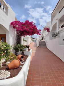 Los Cristianos - Port Royale Pool View
