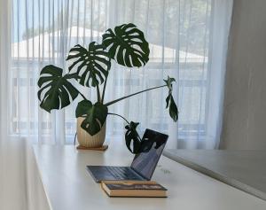 Peaceful House and Private Studio, Walk to Beach