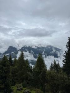 Appartamento panoramico con vista sulle montagne e accesso diretto alle piste
