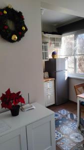 Dolce Vita-Sofia Apartment