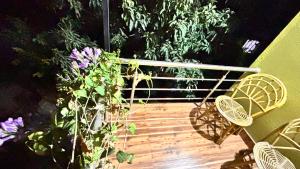 Runas Retreat family stay