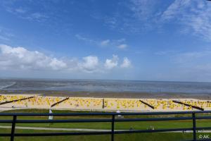 Haus Pacific Pacific FeWo 81