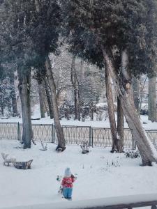 Apartament Nowy Swiat