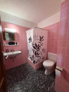 Appart cozy avec grand balcon