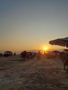 Apto impecável pé na areia para até 6 pessoas